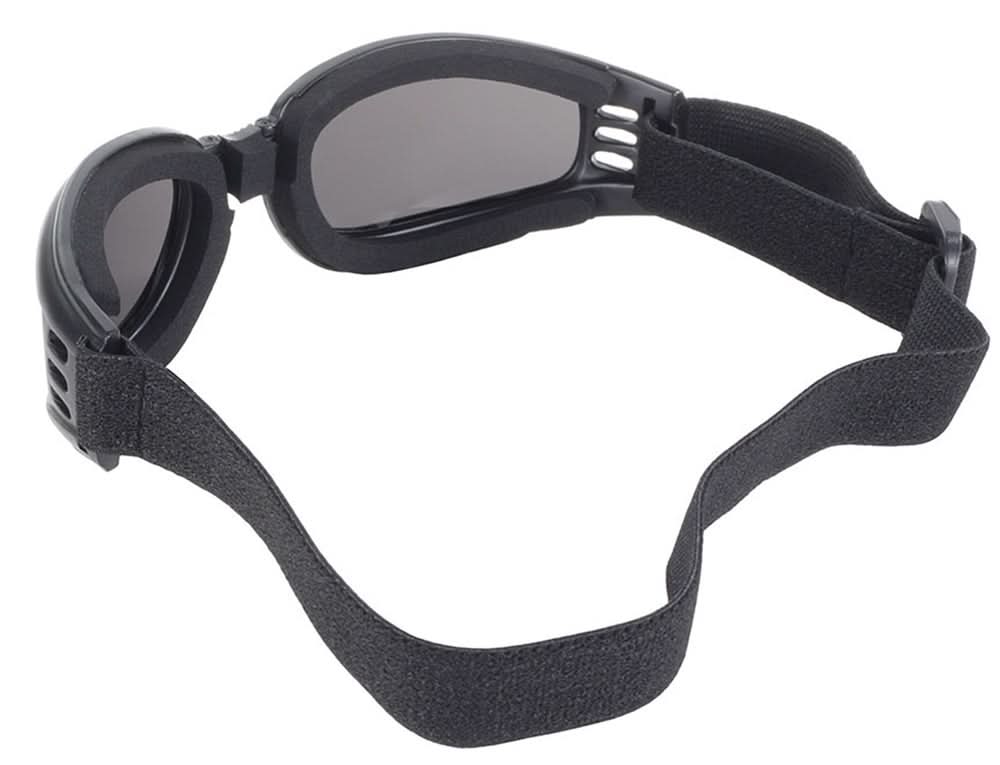 Nomad Goggle, Black Frame with Smoke Lens "4520"