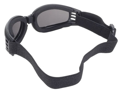 Nomad Goggle, Black Frame with Smoke Lens "4520"