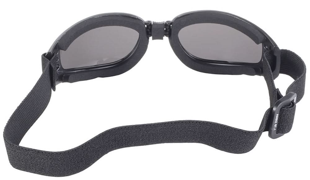 Nomad Goggle, Black Frame with Smoke Lens "4520"